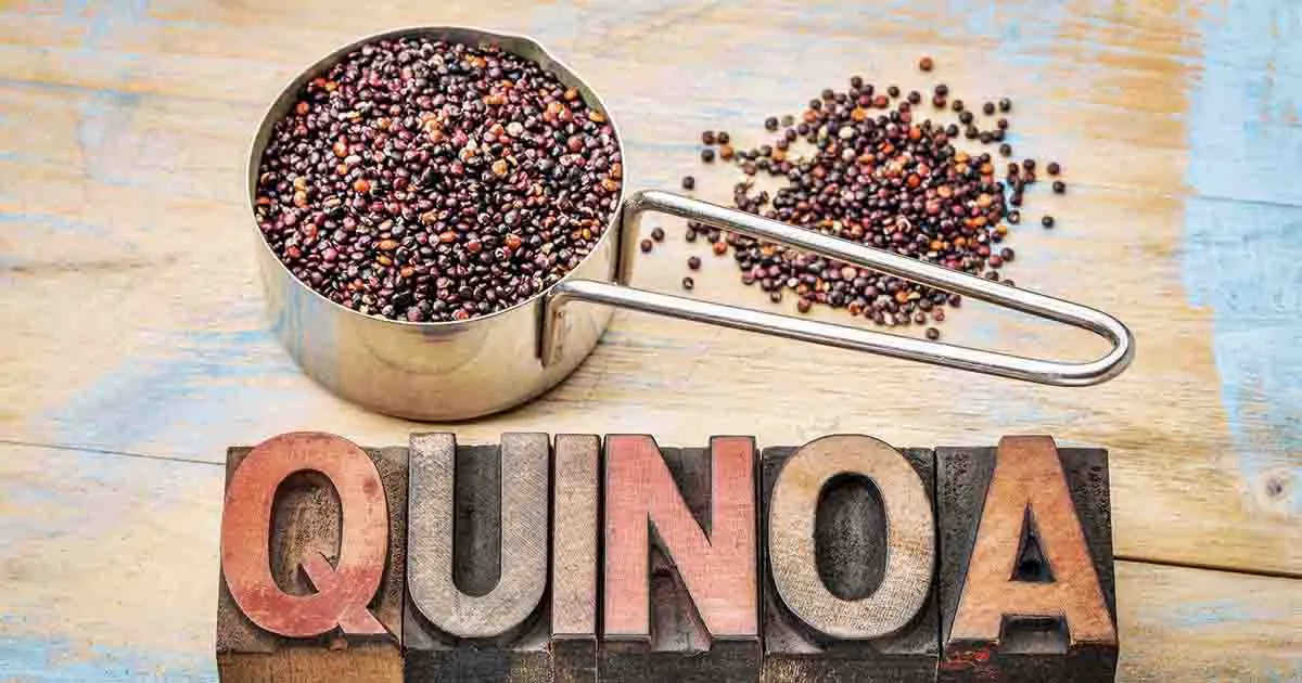 Nyttiga små frön