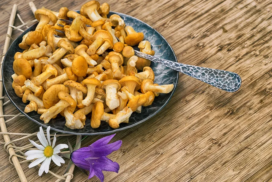 Krämig kantarellpasta