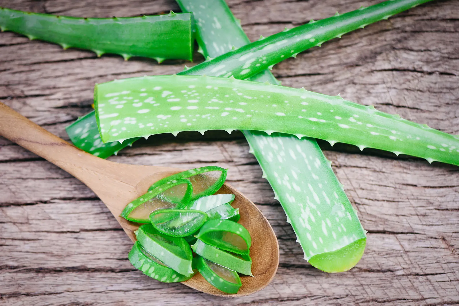 Det kan du använda Aloe Vera till