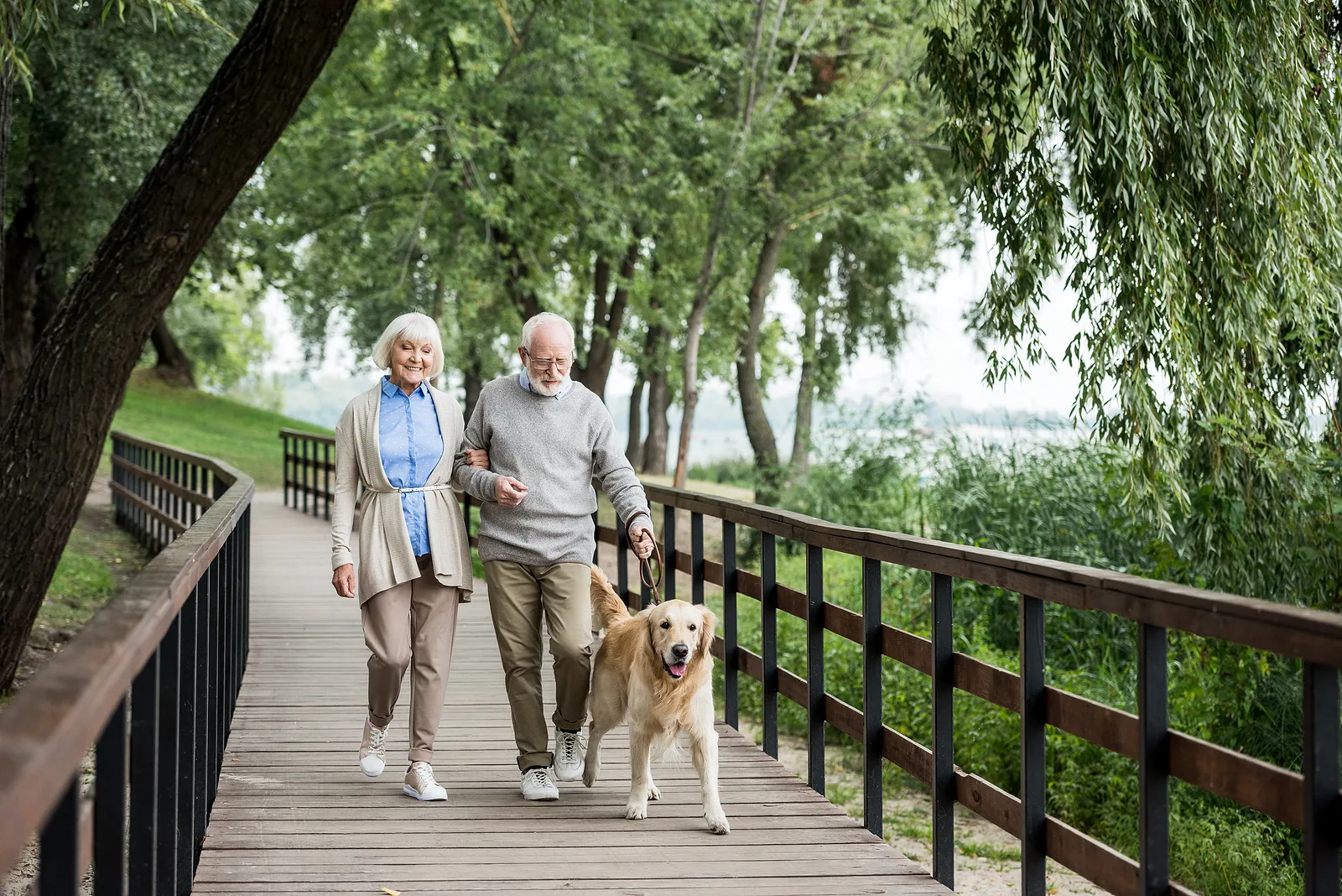 Hund för pensionär